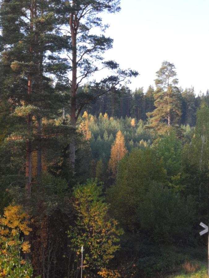 Aelghuset Silverdalen 外观 照片